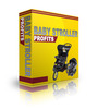 Thumbnail Baby Stroller Niche Profits 