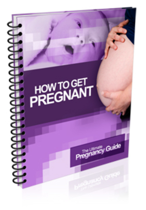 Product picture The Ultimate Pregnancy Guide 